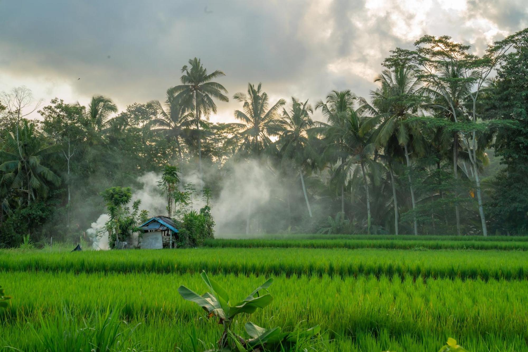 Kampung Uma Dawa Villas And Spa Убуд Екстериор снимка