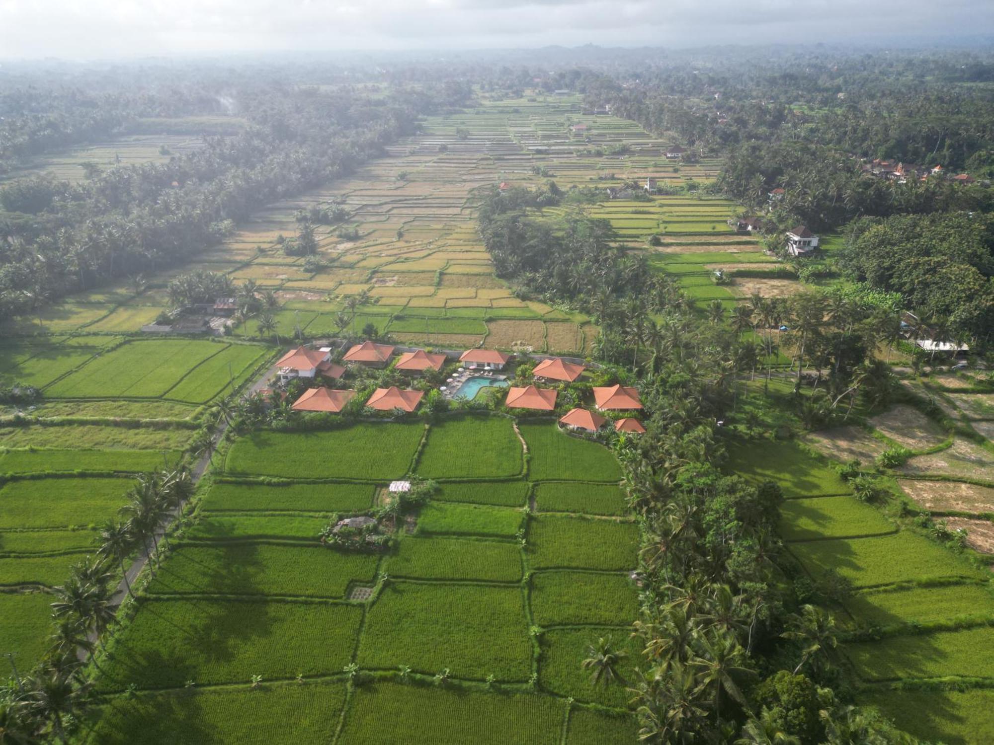 Kampung Uma Dawa Villas And Spa Убуд Екстериор снимка