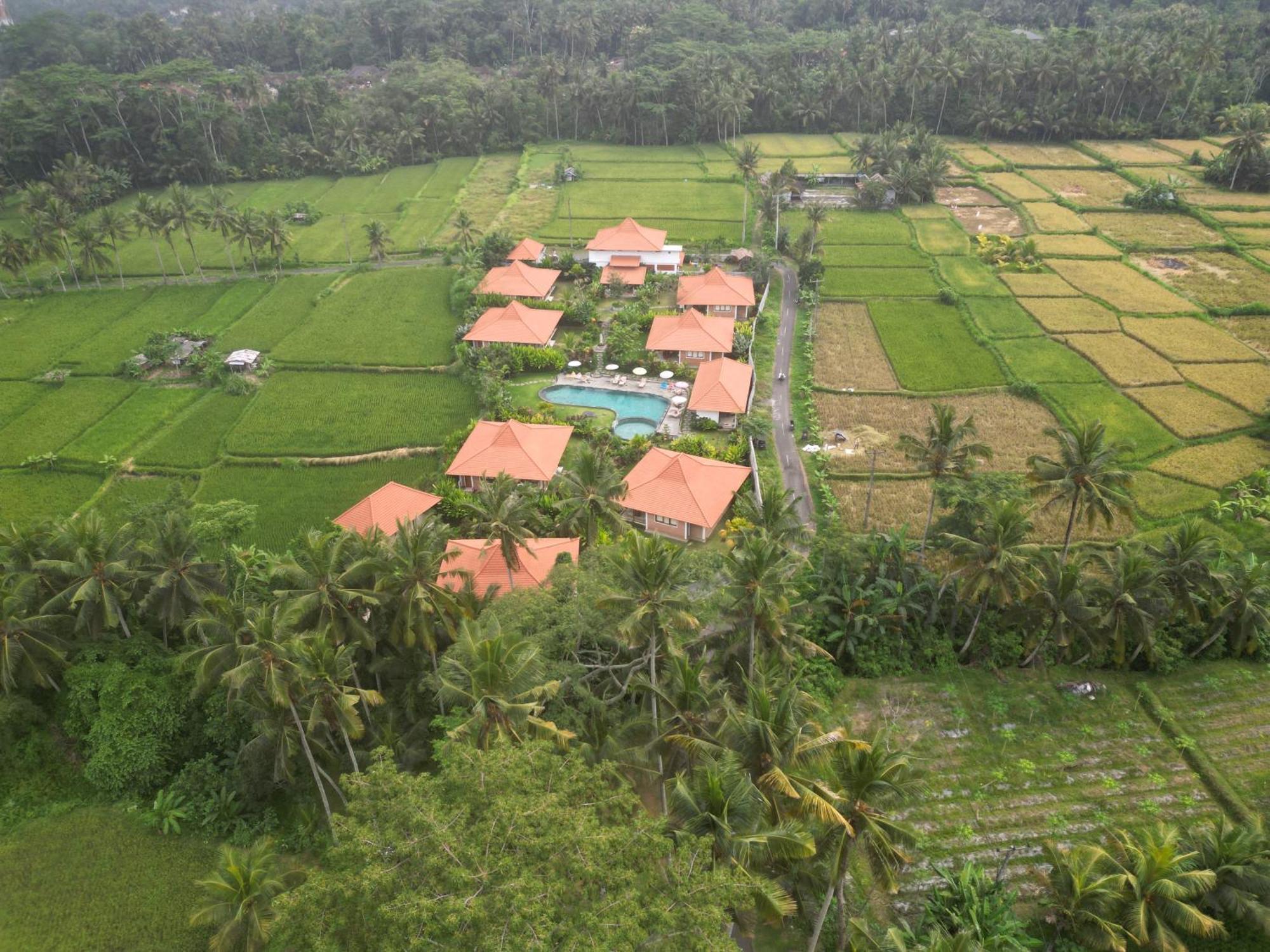 Kampung Uma Dawa Villas And Spa Убуд Екстериор снимка